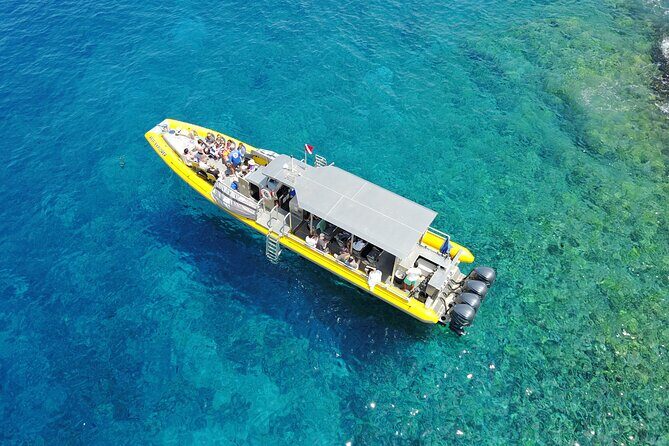 Whale Watch Adventure Aboard Maui's Only Luxury Super Raft - The Price & Value