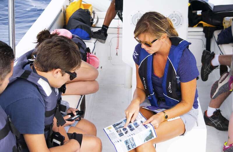 Whale Watch Cabo: Zodiac Whale Adventure - FREE Photos - The Photos and Why They Matter
