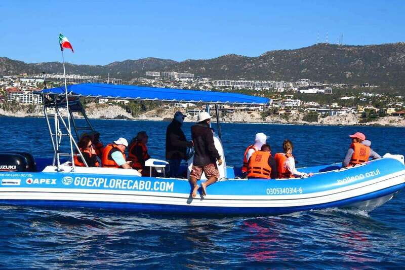 Whale Watch Cabo: Zodiac Whale Adventure - FREE Photos - The Guides and Their Impact