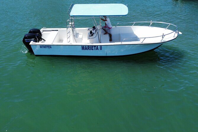 Whale watching - An In-Depth Look at the Whale Watching Experience