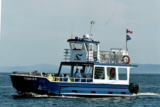 Whale Watching Adventure from Vancouver BC - Final Thoughts