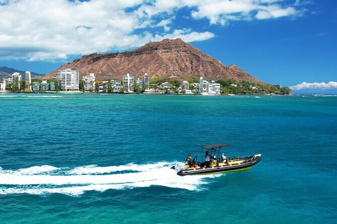 Whale Watching Adventure -Speed Boat & Small Group - The Details of the Itinerary