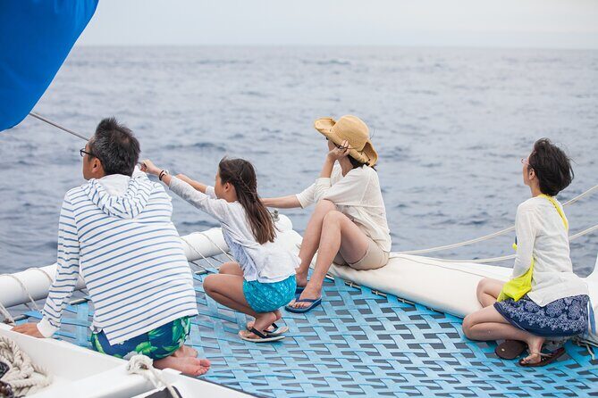 Whale Watching Amazing Adventure - Introduction