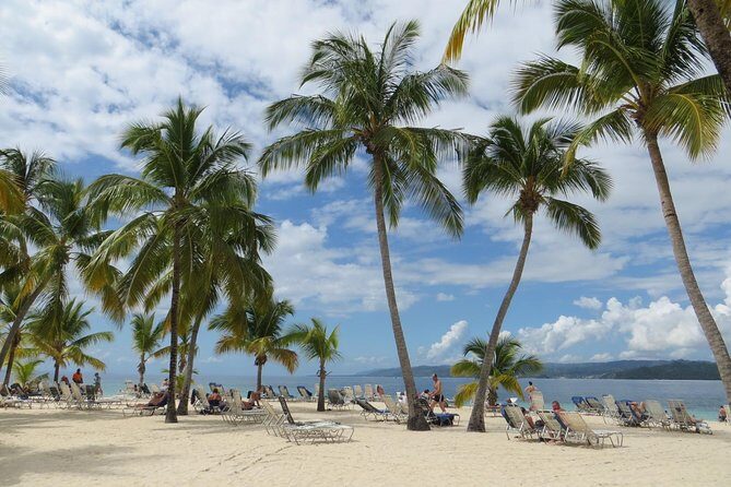 Whale Watching and Bacardi Island day trip from Punta Cana - Who Will Love This Tour?