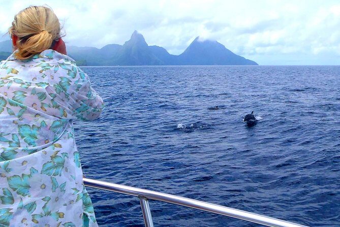Whale Watching and Dolphin Spotting Cruise - An In-Depth Look at the Whale Watching Experience