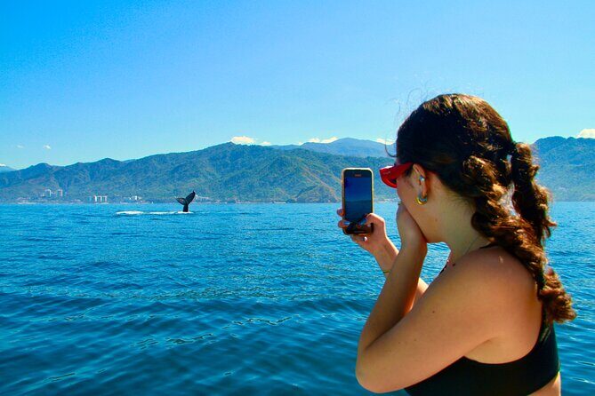 Whale Watching and Los Arcos 5 Islands Adventure - A Detailed Look at the Whale Watching and Los Arcos Tour