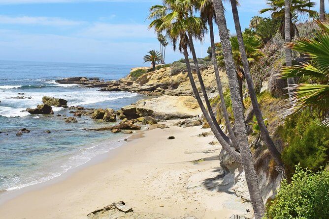 Whale-Watching and Orange County Beaches Tour from Anaheim - Discovering the Beaches and Marine Life of Orange County