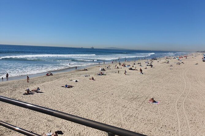 Whale-Watching and Orange County Beaches Tour from Anaheim - Who Will Love This Tour?