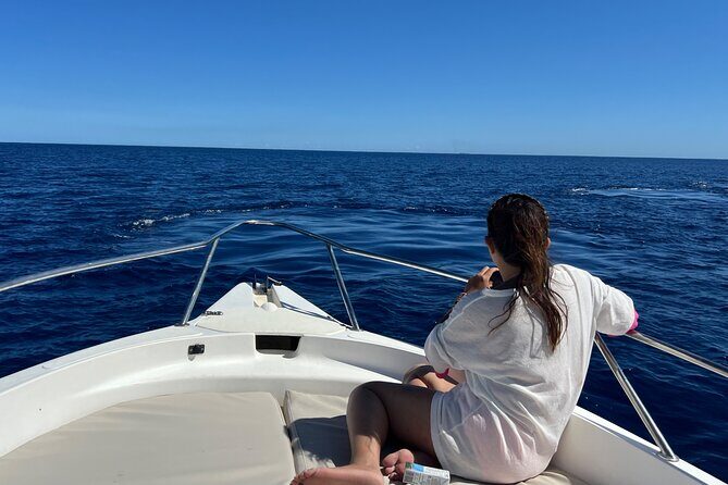 Whale Watching and Private Ocean Safari Experience in Mauritius - Key Points