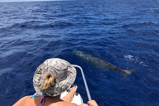 Whale Watching and Private Ocean Safari Experience in Mauritius - FAQ