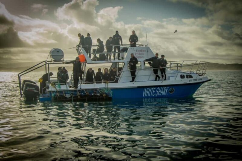 Whale Watching Boat trip in Hermanus - All inclusive - Practical Details and Value