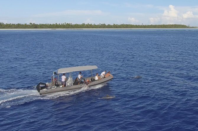 Whale Watching Bora Bora - Final Thoughts