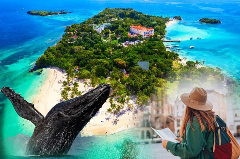Whale Watching + Cayo Levantado - A Practical Look at Whale Watching + Cayo Levantado