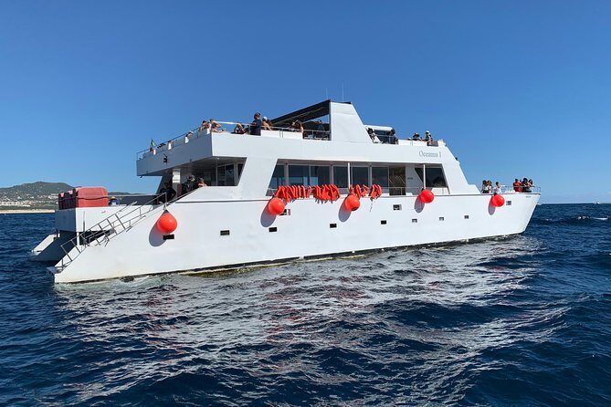 Whale Watching Cruise in Cabos San Lucas and Ground Transportation - The Pros and Cons: Balancing Expectations