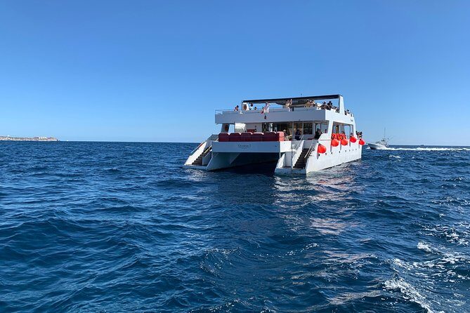 Whale Watching Cruise in Cabos San Lucas and Ground Transportation - The Sum Up
