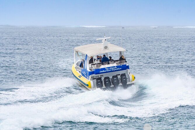 Whale Watching Cruise in New South Wales - Who Should Consider This Tour?