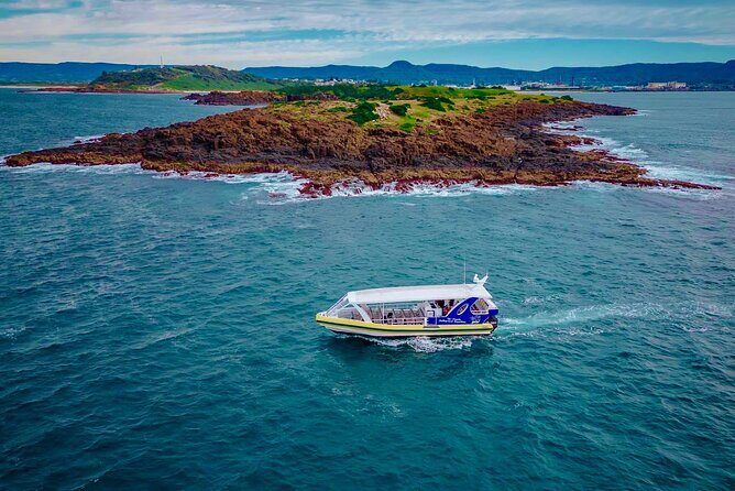 Whale Watching Cruise in New South Wales - FAQ