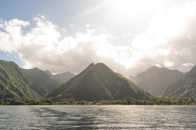 Whale watching DE Tahiti Peninsula - Snorkeling and Other Features