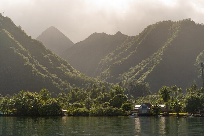 Whale watching DE Tahiti Peninsula - Who Is This Tour Best For?