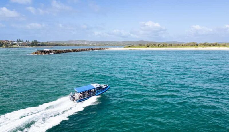 Whale Watching Discovery Tour from Lake Macquarie - FAQ