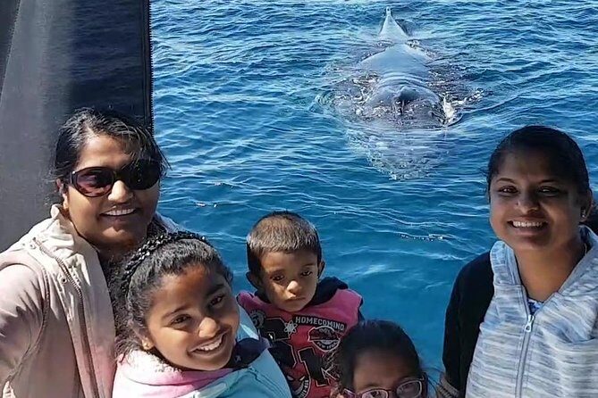 Whale Watching Dunsborough - The Review Speaks: What Past Travelers Say