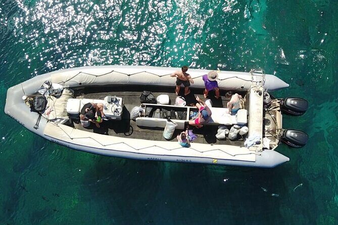 Whale Watching Expedition on Kauai - The Itinerary in Detail