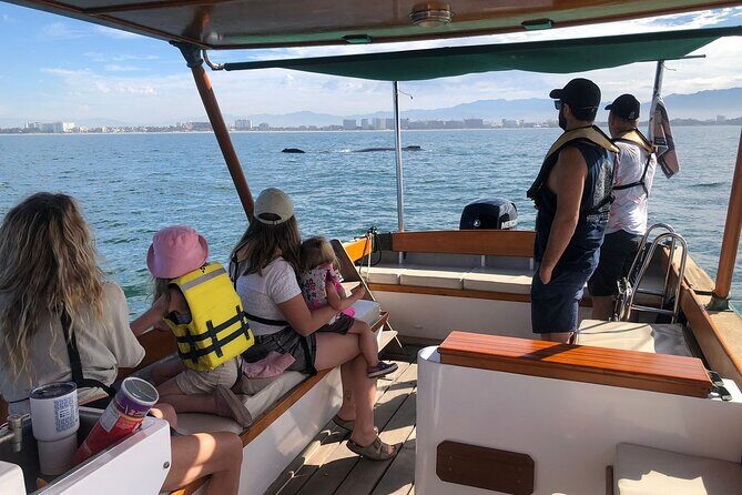 Whale Watching Experience 4 Hours in Puerto Vallarta - Key Points