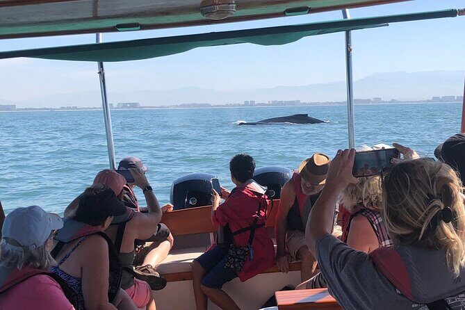 Whale Watching Experience 4 Hours in Puerto Vallarta - Why This Whale Watching Tour Stands Out