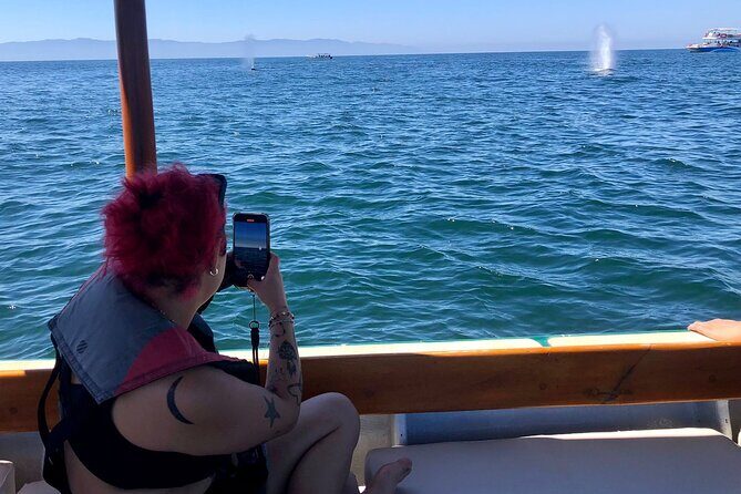 Whale Watching Experience 4 Hours in Puerto Vallarta - Authentic Experiences from Past Travelers