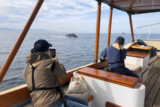 Whale Watching Experience 4 Hours in Puerto Vallarta - Practical Details and Tips