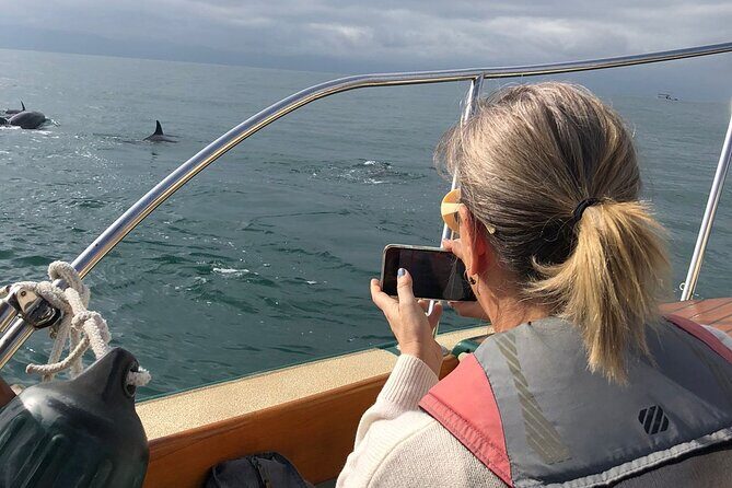 Whale Watching Experience 4 Hours in Puerto Vallarta - The Bottom Line