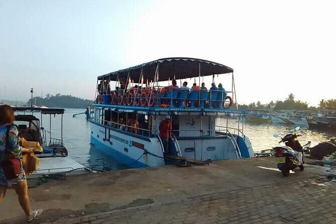 Whale Watching Experience in Mirissa - The Price and Its Value