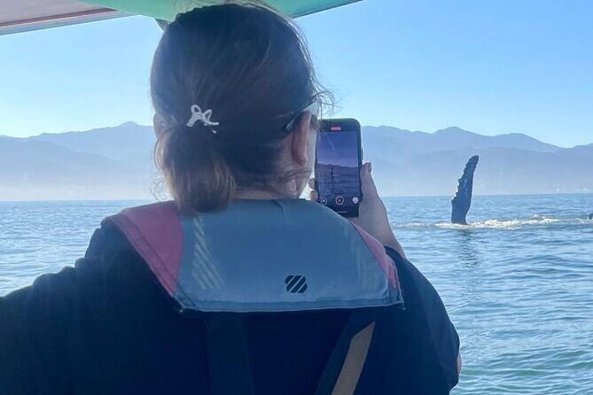 Whale Watching Experience in Puerto Vallarta - Who Will Love This Tour?