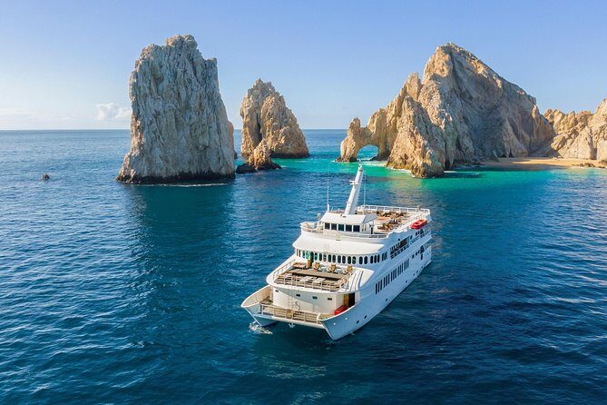 Whale Watching Experiencie with breakfast - An In-Depth Look at the Whale Watching Tour