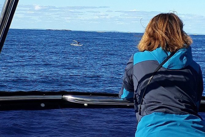 Whale Watching from Augusta in Western Australia - Authenticity and Feedback