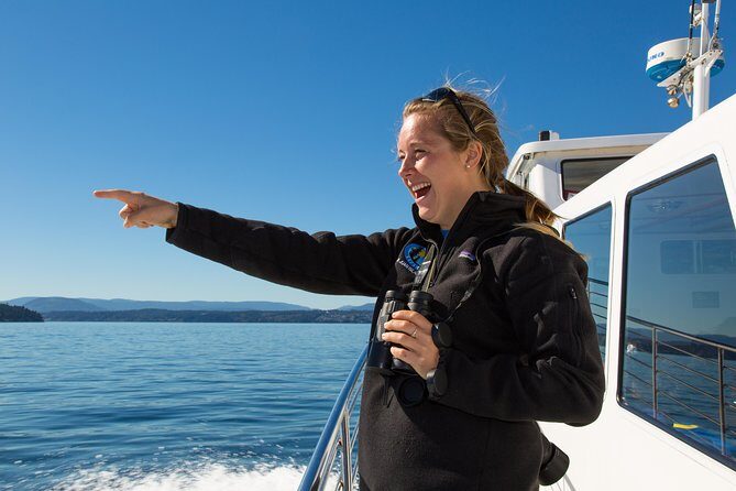 Whale Watching from Friday Harbor - Who Will Love This Tour?