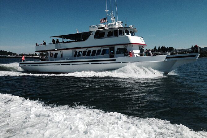 Whale Watching from Friday Harbor - FAQ