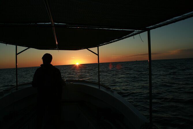 Whale Watching Group Tour in San Jose del Cabo - Final Thoughts: Is This Tour Right for You?