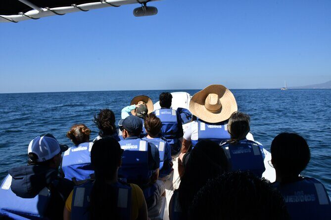 Whale Watching Guaranteed Experience in Puerto Vallarta - Practical Details