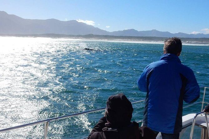 Whale Watching Hermanus - Boat base - FAQ