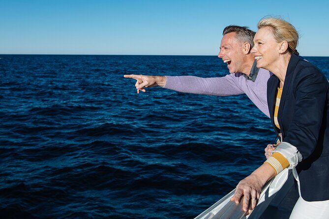 Whale Watching & Hop On Hop Off Sydney Harbour Explorer Cruise - Why This Tour Might Be Your Best Choice for Sydney Harbour