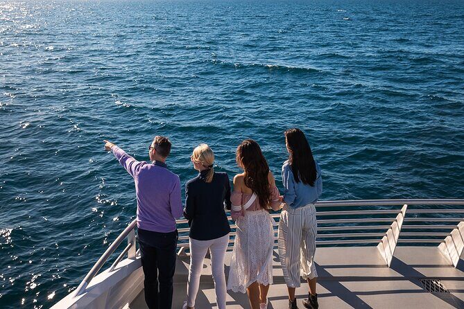 Whale Watching & Hop On Hop Off Sydney Harbour Explorer Cruise - In Closing
