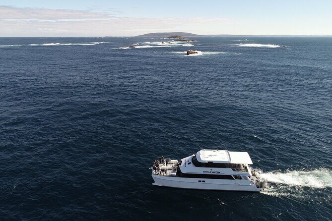 Whale Watching in Augusta Humpback and Southern Right Whales - Value Analysis: Is It Worth It?