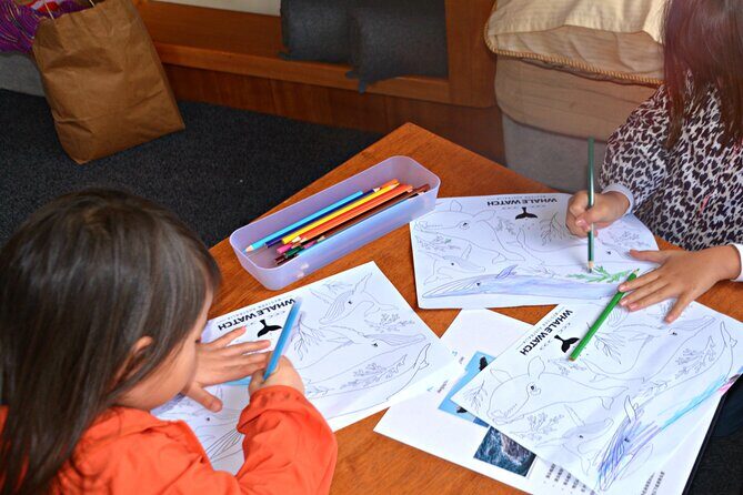 Whale Watching in Augusta Humpback and Southern Right Whales - Who Should Book This Tour?