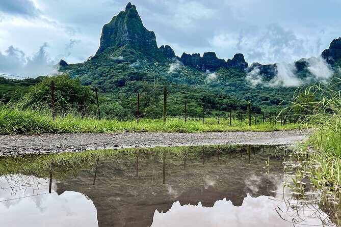 Whale watching in Moorea - Practical Tips for Travelers