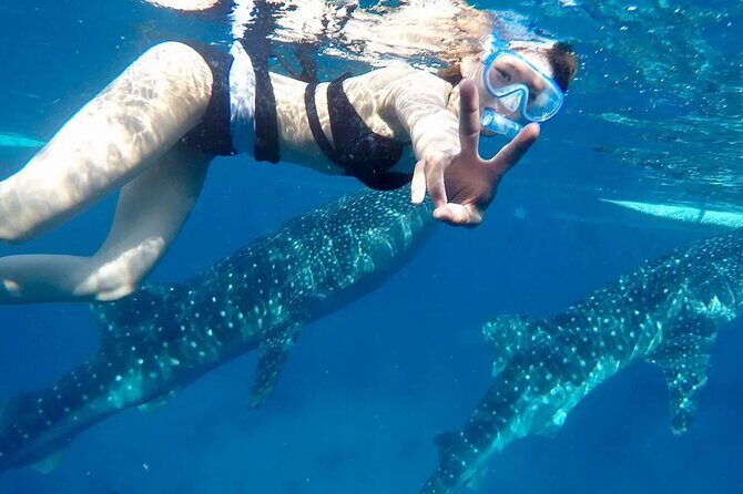Whale Watching in Sumilon Island with Ocean View Resort and Lunch - Introduction: What to Expect from This Tour