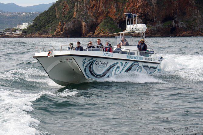 Whale Watching Knysna - Close Encounter Experience Ocean Odyssey - FAQ: Your Questions Answered