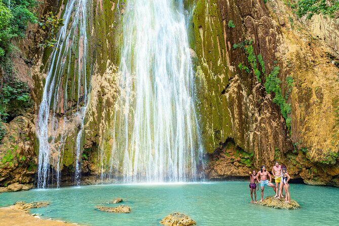 Whale Watching & Limón Waterfall Day Trip - Samana Bay and Whale Watching: The Main Attraction
