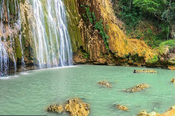 Whale Watching & Limón Waterfall Day Trip - Transportation and Duration