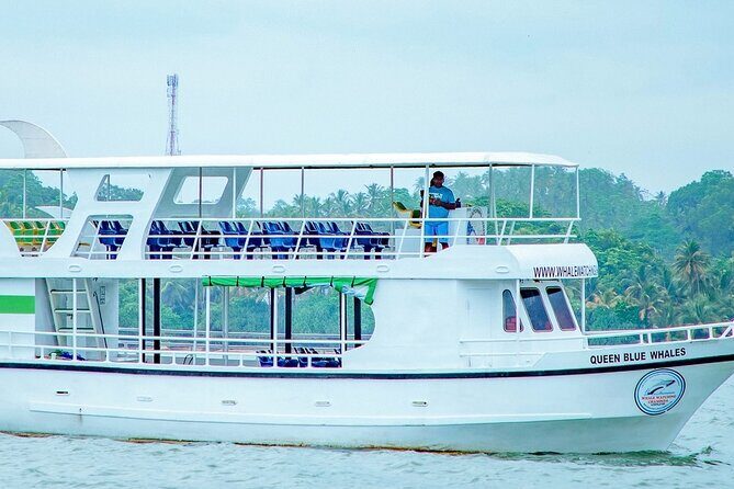 Whale Watching Mirissa in Sri Lanka with Pickup and Breakfast - Key Points
